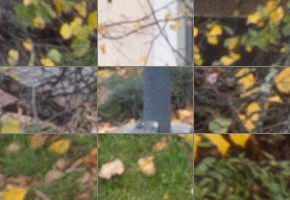 Panasonic Leica DG Vario-Elmarit 12-35mm / F2.8 ASPH. / Power O.I.S