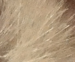 Sony Cyber-shot W350: šikovný prcek