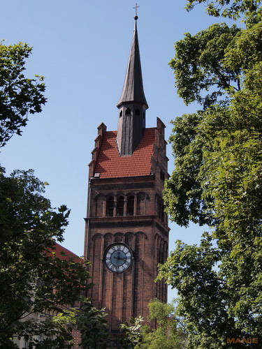 Olympus M.Zuiko Digital 40-150 mm F4-5,6 + nová R verze