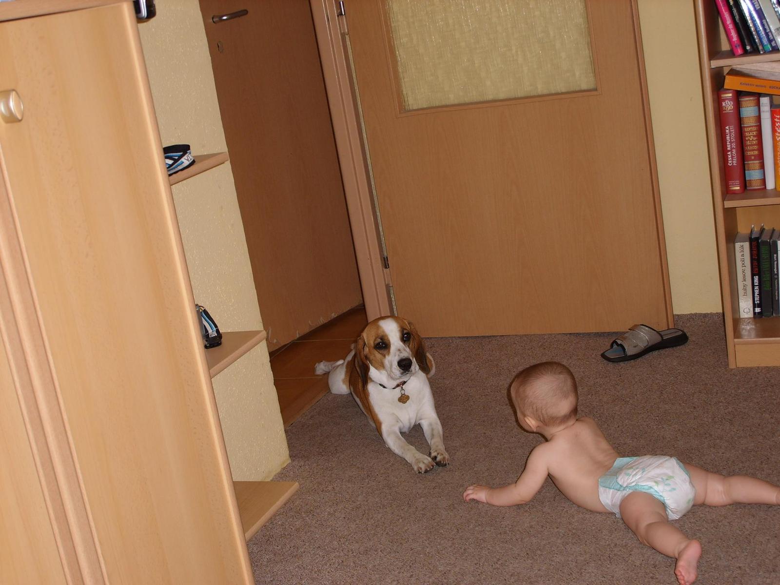 Retro krasavec Samsung Digimax L85