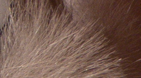 Panasonic Lumix TZ70: krůček k profi ultrazoomu