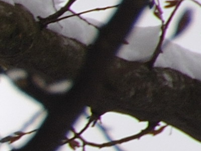 Dva objektivy nebo jeden ultrazoom?