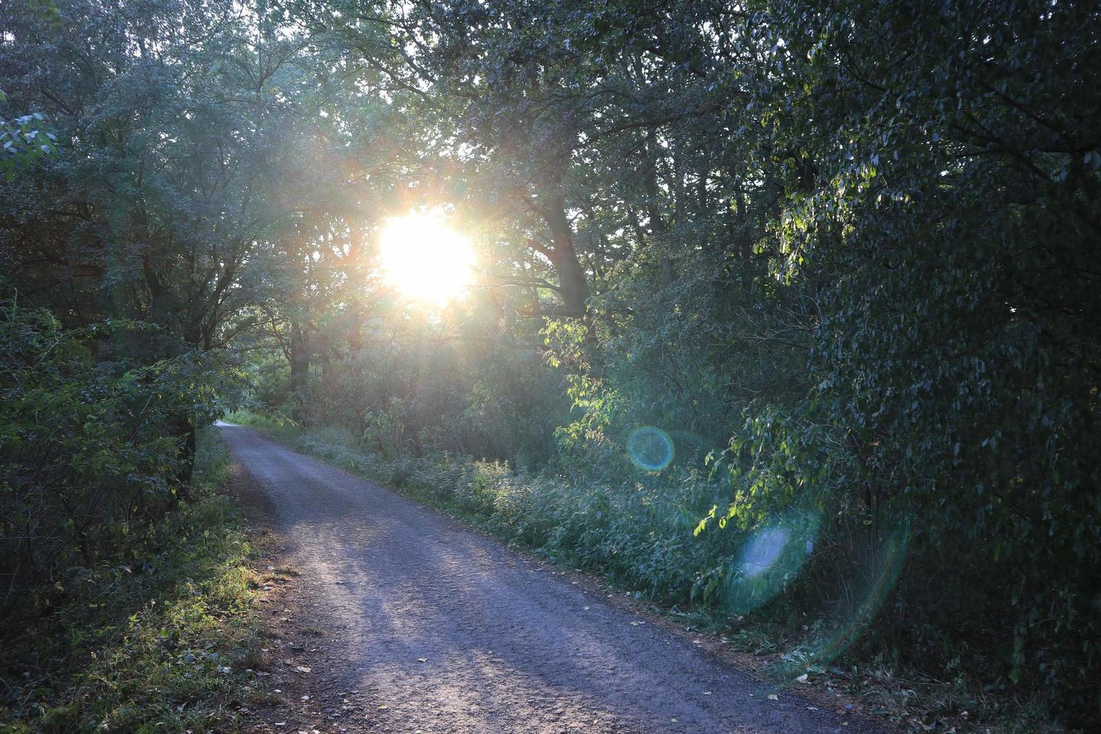 Canon EF-M 15-45mm f/3.5-6.3 IS STM