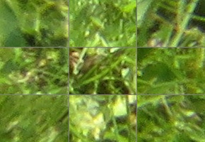 Canon PowerShot SX720 HS: kapesní šmírování