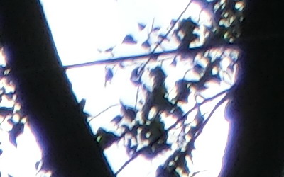 Casio EXILIM ZR100: kapesní formule