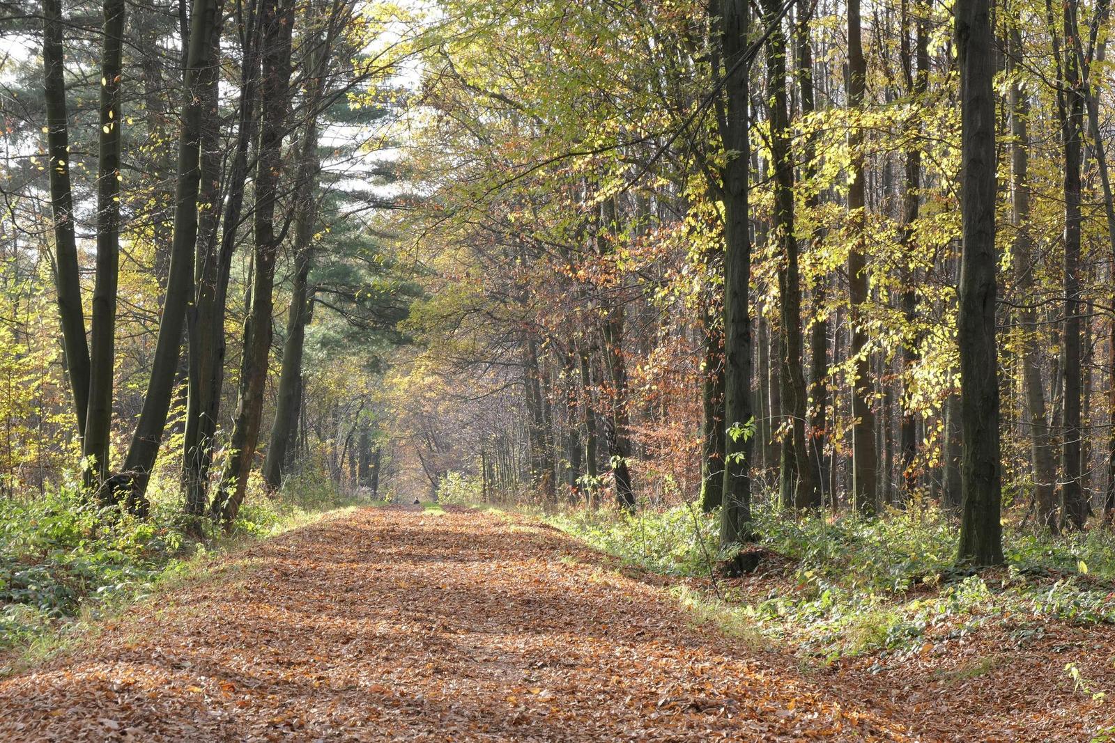 Panasonic Lumix TZ200: kamarád na cesty