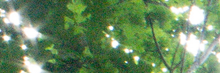 Canon FL 35mm 1:2.5 (FL/FD)