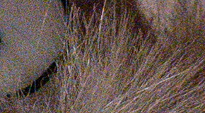 Panasonic Lumix LX100: pozoruhodný profi kompakt