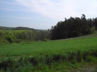 Konica Minolta Dimage E50 - pro každého něco...