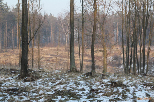 Megatest ultrazoomových objektivů