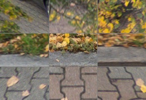 Panasonic Leica DG Vario-Elmarit 12-35mm / F2.8 ASPH. / Power O.I.S