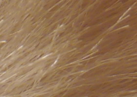 Panasonic Lumix G3: menší a lehčí, je i lepší?