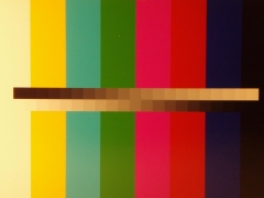 Olympus mju 770 SW: ironman