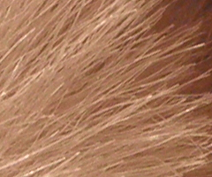 Olympus mju-7010: stylovka v růžovém