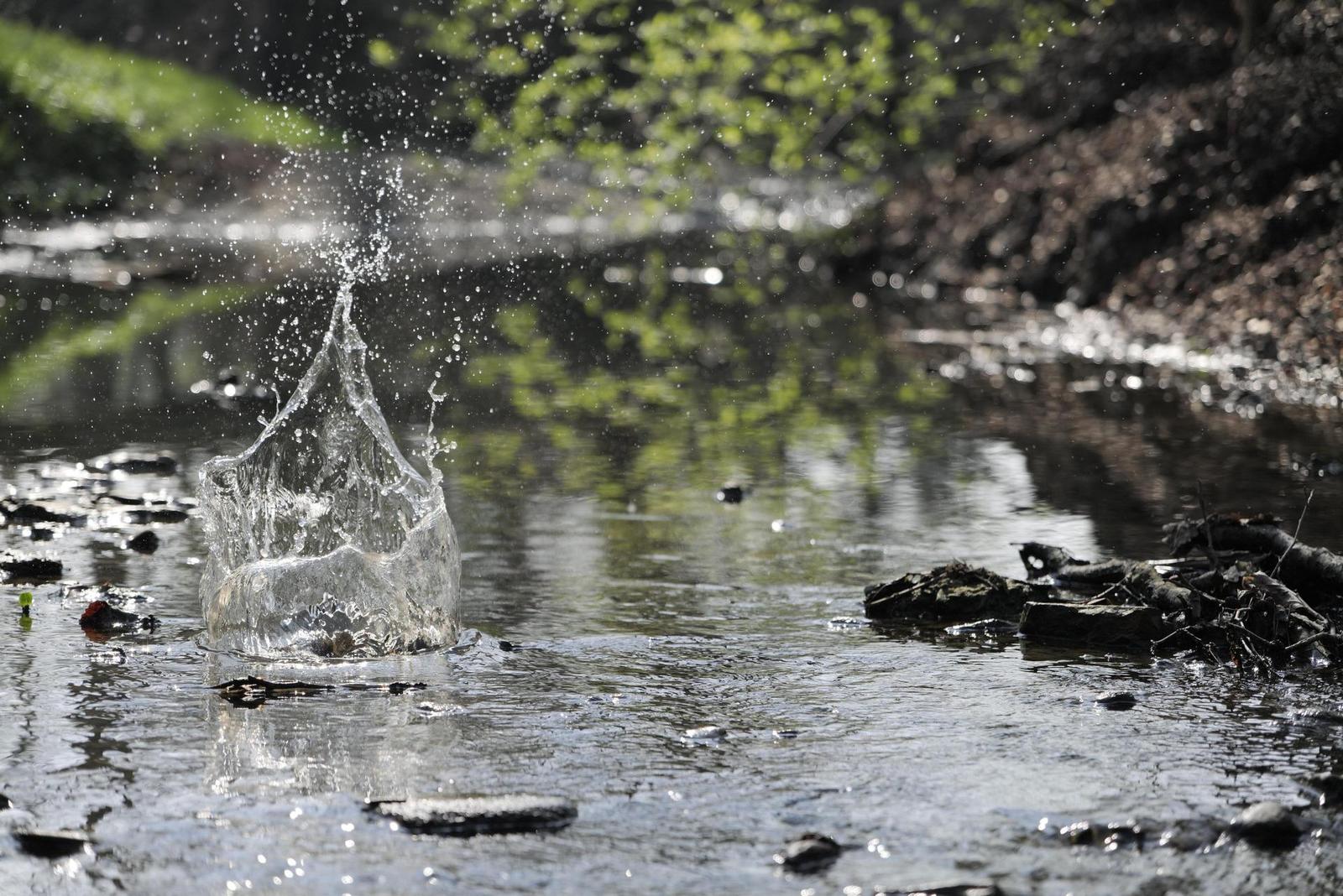 Panasonic Lumix S1R: sebevědomý vstup do FF