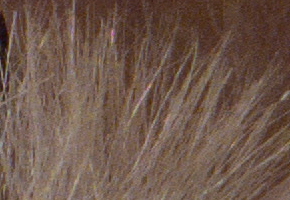 Samsung EX2F: významný krok vpřed