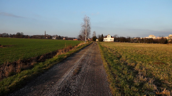 Sony SLT-A77: megapixelový přeborník