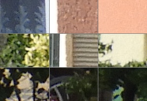 Nikon Coolpix B700: přírodovědec