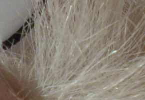 Sony Cyber-shot RX100: terminátor zrcadlovek