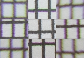 Canon EF-S 18-135mm f/3.5-5.6 IS Nano USM