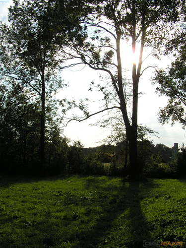 Starý vs. nový aneb megapixely k ničemu?