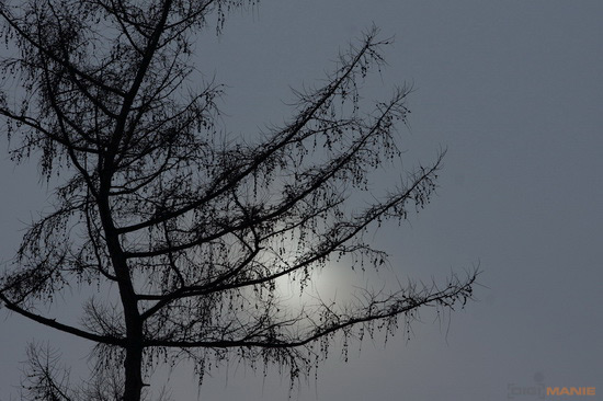 Sony SAL-70400G (70-400mm F4-5,6 SSM G)