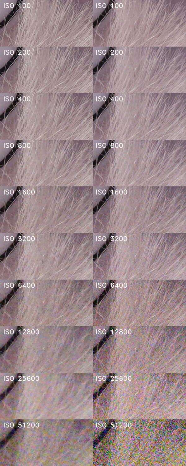 Sony A6300 (ILCE-6300): technologický extrémista