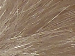 Nikon Coolpix P300: nenápadný šikula