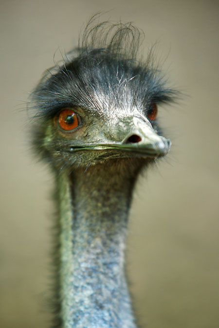 Na hloubku ostrosti prakticky