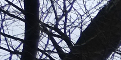 Fujinon XF 18mm f/2R