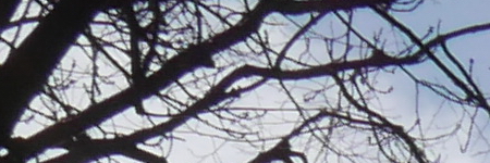 Panasonic Lumix LX100: pozoruhodný profi kompakt