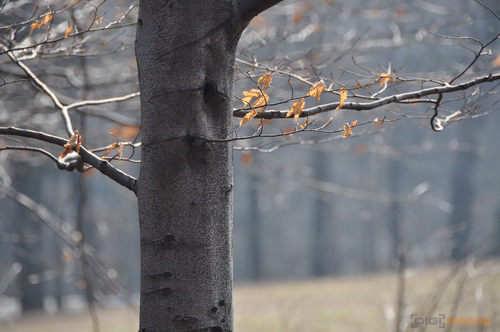 Dva objektivy nebo jeden ultrazoom?