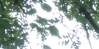 Sony Cyber-shot RX100: terminátor zrcadlovek