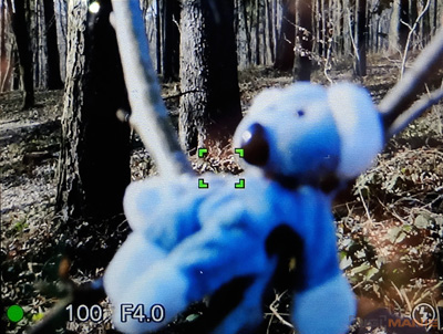 Fotíme s Koalou: Ostření