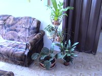 Videokamera s pevným diskem: Sony Handycam DCR-SR70