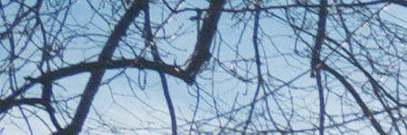 Panasonic Lumix G Vario 12-32mm f/3.5-5.6 ASPH. / MEGA O.I.S.