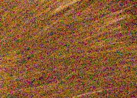 Sony Alpha SLT-A35: úspěšně proti zrcadlovkám