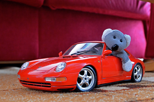 Fotíme s Koalou: ISO citlivost