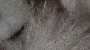 Panasonic Lumix LX100: pozoruhodný profi kompakt