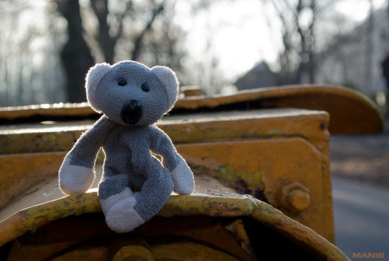 Fotíme s Koalou: Sluneční clona