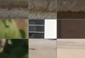 Nikon Coolpix B700: přírodovědec