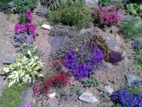 Nokia N80 - jak fotí 3megapixelový fotomobil?