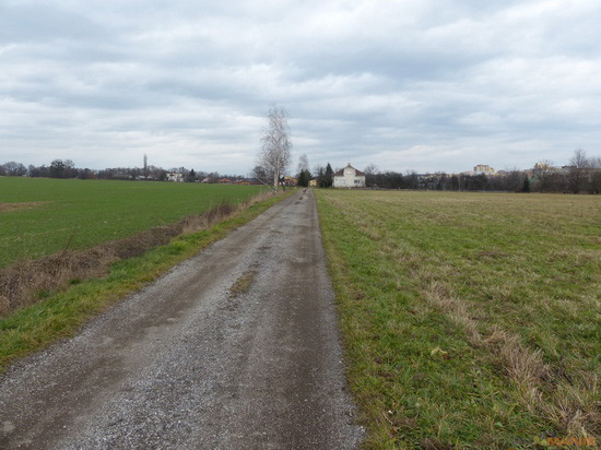 Panasonic Lumix FZ200: ultrazoomové překvapení roku