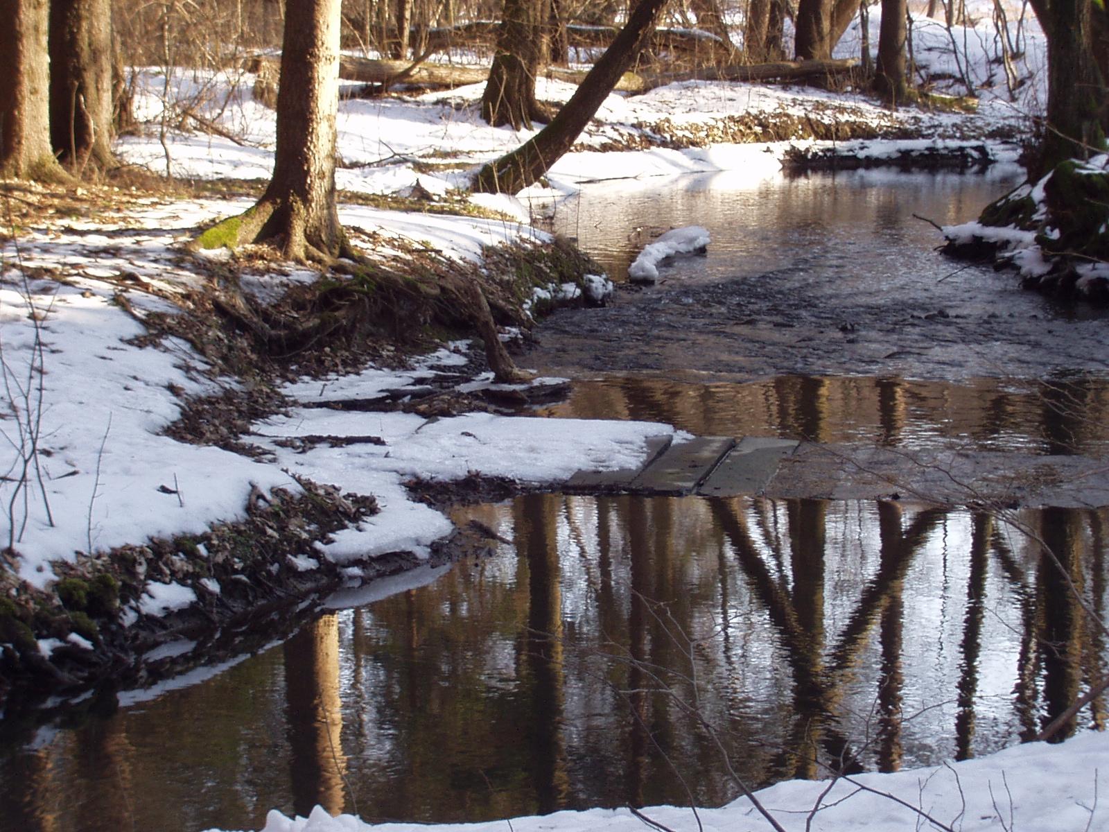 Olympus C-220Z: Fotoaparát s rodokmenem