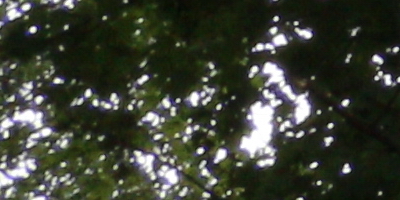 Canon EF-S 18-55mm F3,5-5,6 IS STM