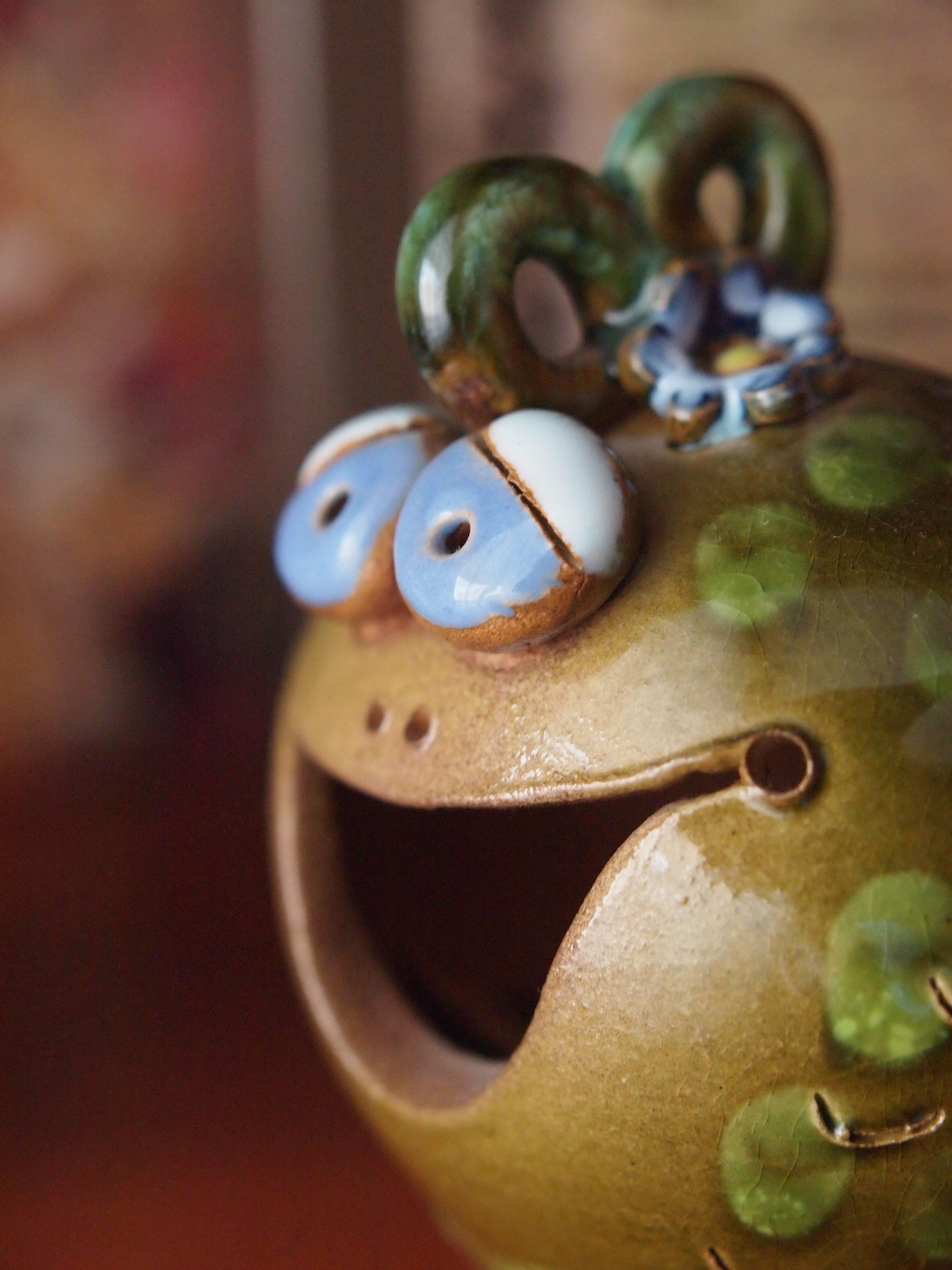 Olympus E-5: profík do nepohody