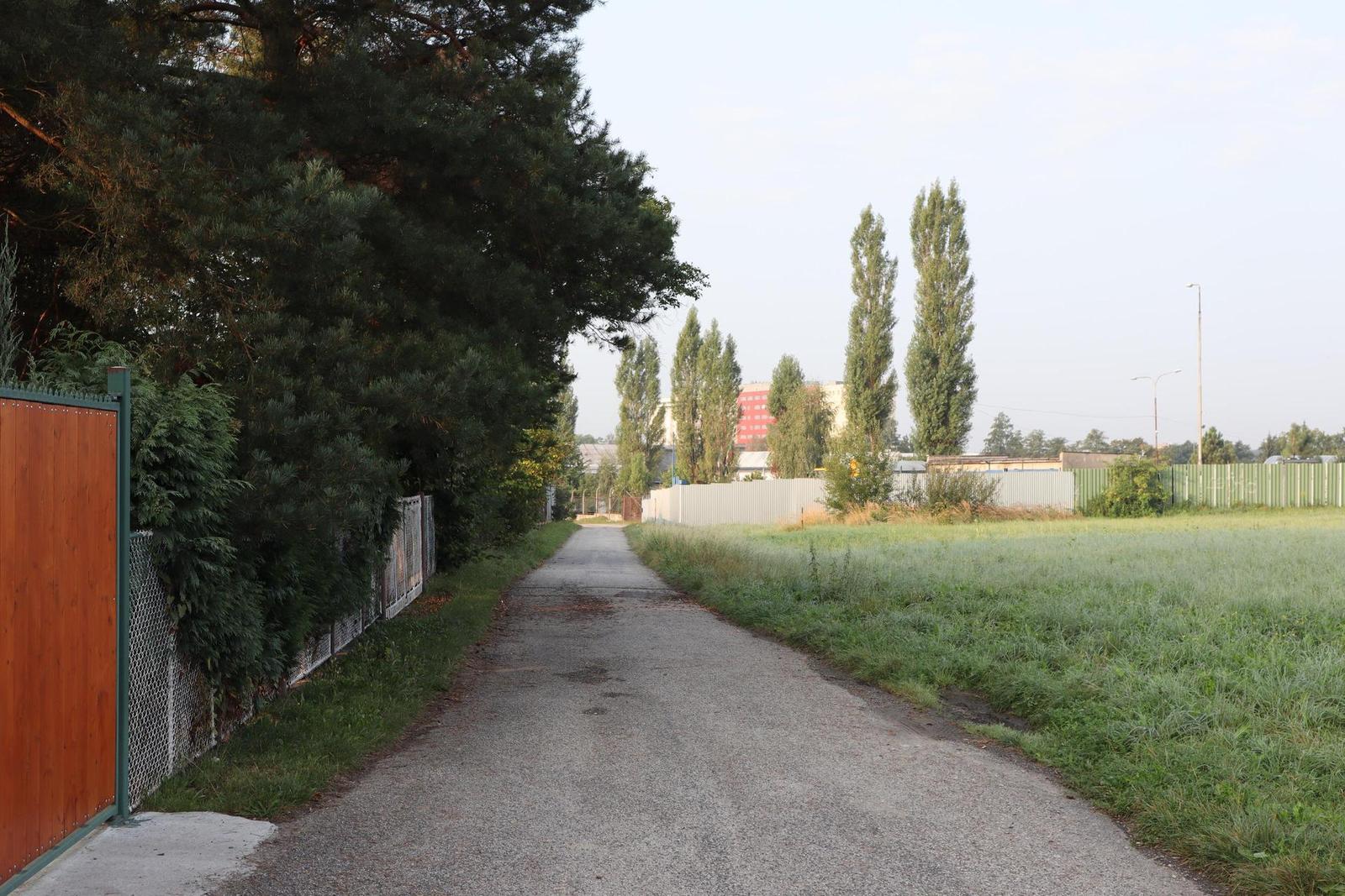 Canon EOS M50: levné 4K od Canonu