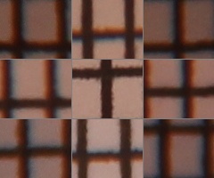 Canon EOS 550D: třídní premiant