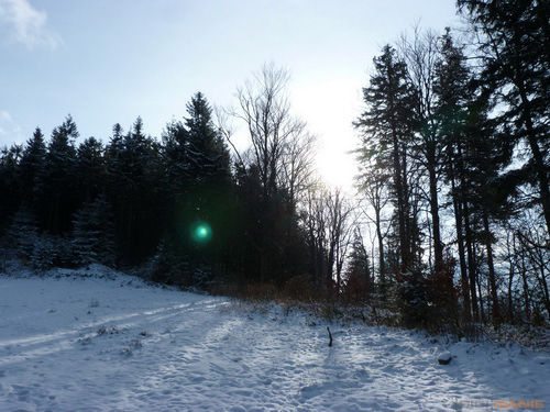 Panasonic Lumix FZ45 a FZ100: na vrcholu