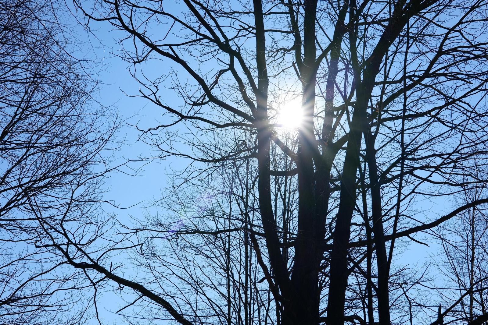 Panasonic Lumix S 50mm F1.8